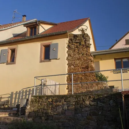 Le Zell
