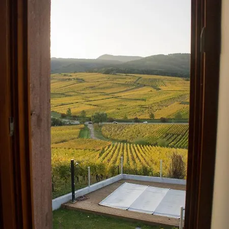 Le Zell Holiday home Zellenberg