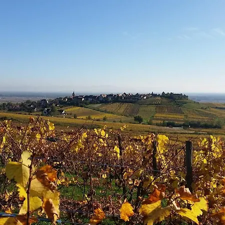 Holiday home Le Zell Zellenberg