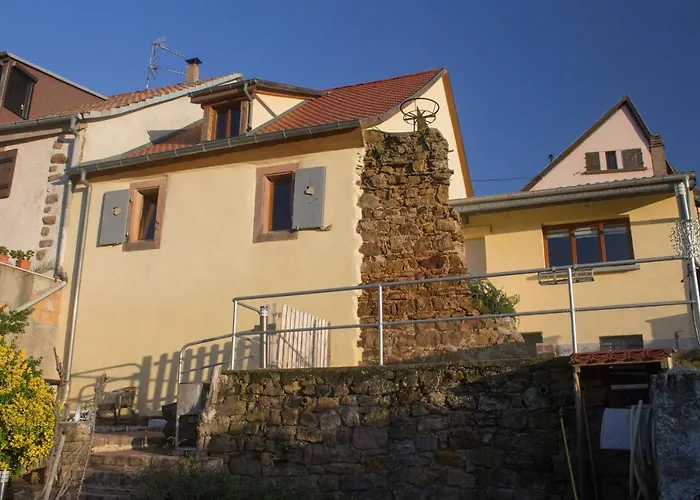 Le Zell